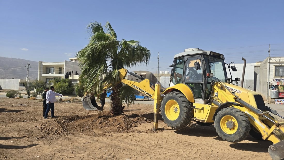 ئەگەر دەرەختی ناو ماڵ یان باخەکەت لادەبەی بە شارەوانی بڵێ