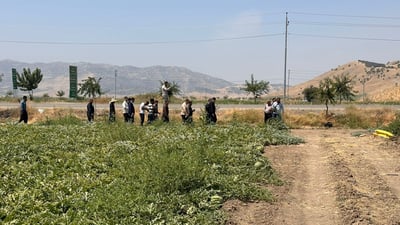 “پێنجوێن و بازیان دەتوانن ببنە دابینكەری سەبەتەی خۆراک بۆ هەموو عێراق”