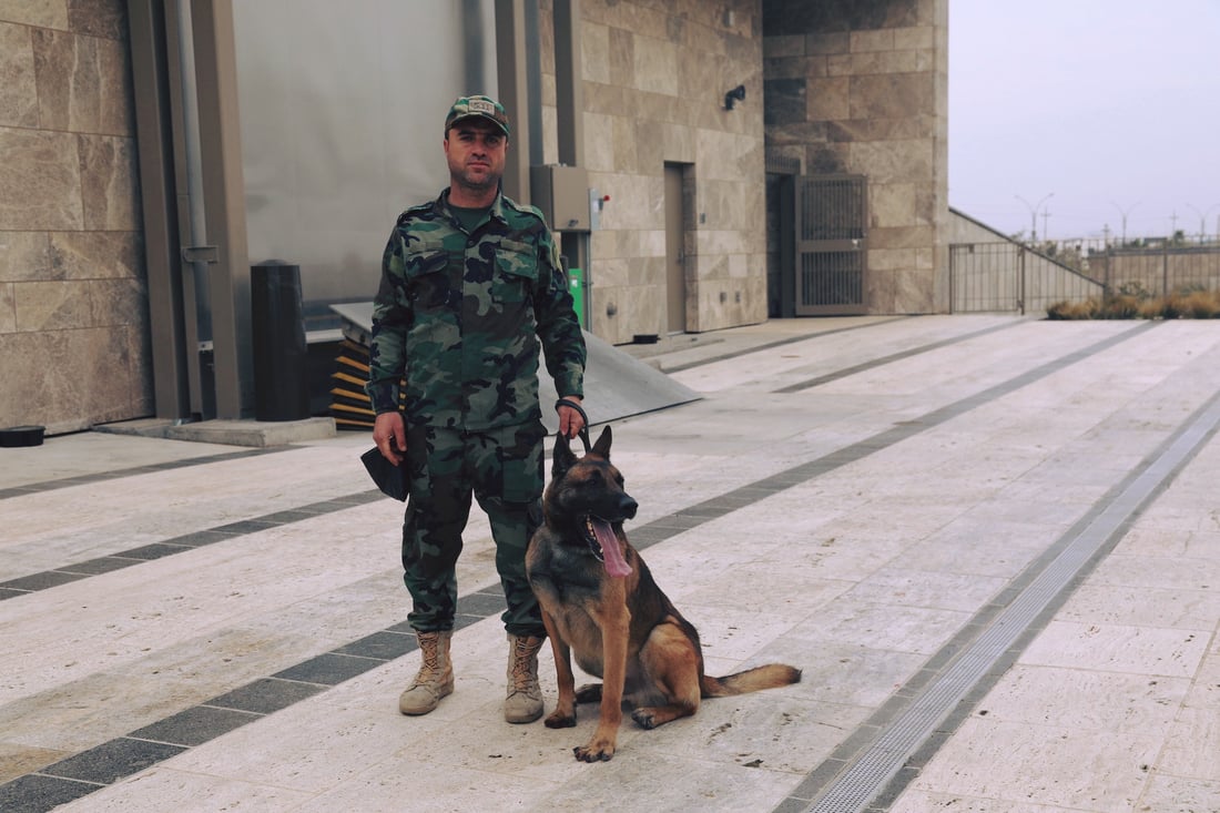  سەگەکانی K9ـى پێشمەرگە لە ناو کونسوڵخانەی ئەمریکا مەشق دەکەن