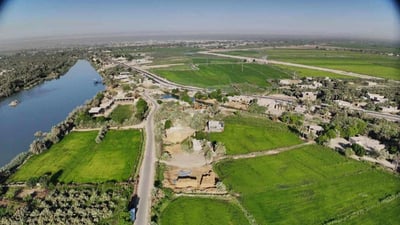 النجف: صور جوية لحقول الشلب في “الحرية”.. موسم ناجح والحصاد بعد شهر