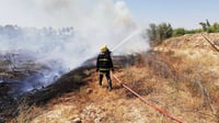 صور: الدفاع المدني يكافح حريقاً اندلع في أحد بساتين ناح...