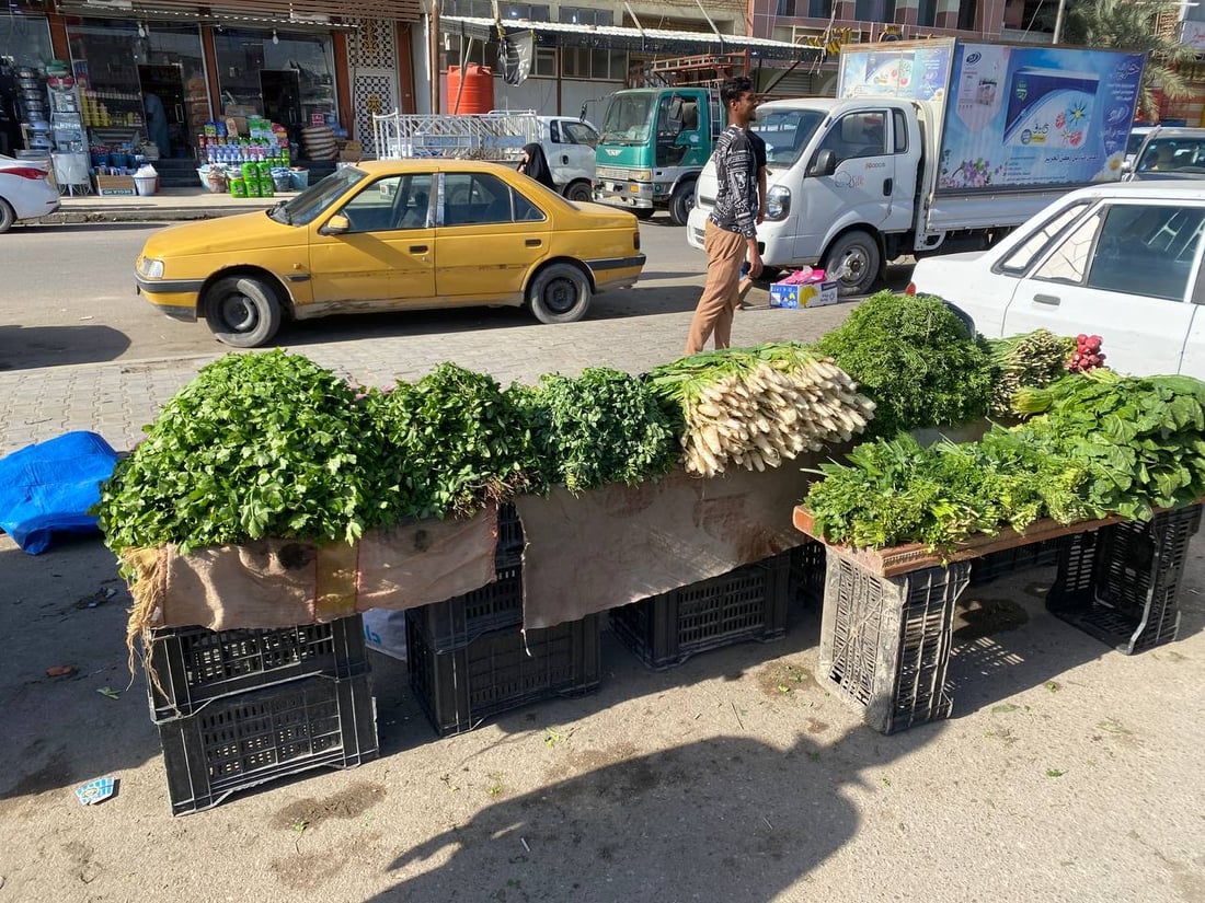 البصرة: الفواكه والخضروات الإيرانية أرخص في سوق الجمهورية.. المحلي حافظ على سعره