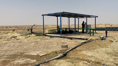 الأنبار تصد الغبار عن بغداد.. غابة من 10 آلاف شجرة فستق وزيتون (فيديو)