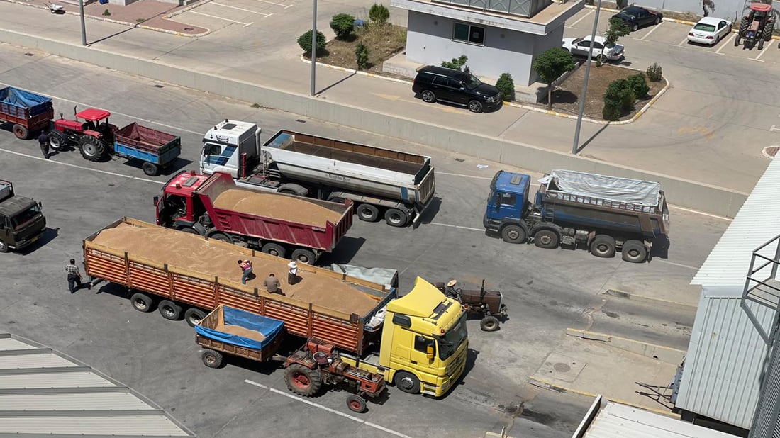 دابەشکردنی پارەی گەنمی جوتیاران دەستیپێکرد