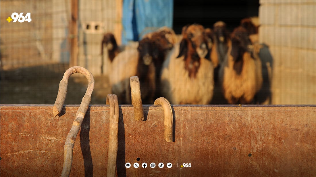 لە پشدەر کەرتی ئاژەڵداری زه‌نگى مه‌ترسی لێده‌دات