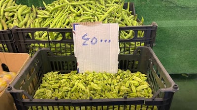 Sulaymaniyah fruit vendor imports Basra okra amid competition