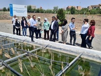 زانکۆی سلێمانی بە زۆنگاوی دەستکرد ئاوی ئاوەڕۆ پاکدەکا�...