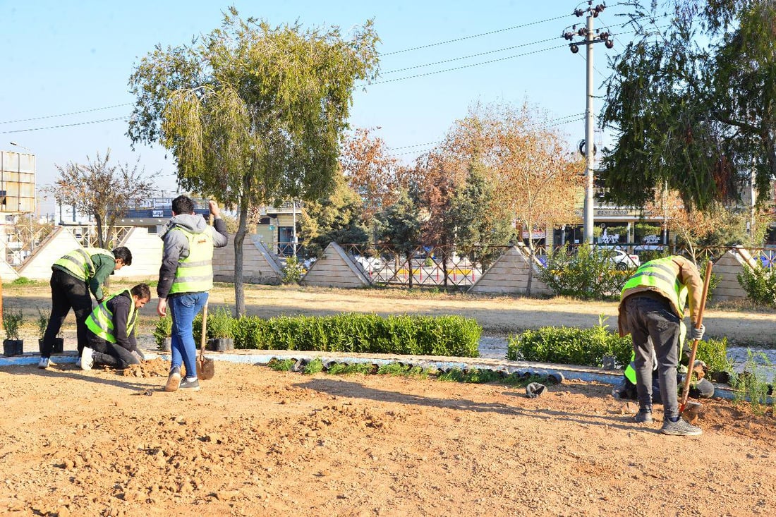 لە ماوی دوو رۆژدا 1000 نەمام لە پارکی منارە چێندرا