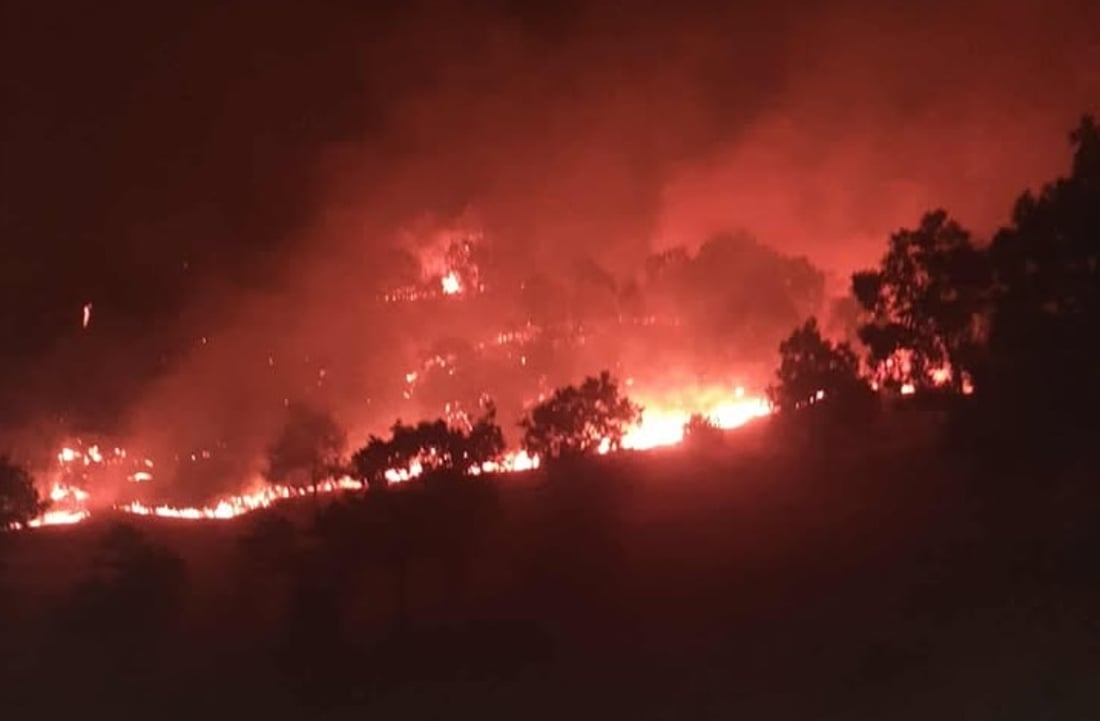 ئاگر لە رۆژهەڵاتی کوردستانەوە گەیشتە ناڵپارێز و 500 دۆنم زەوی سوتاند