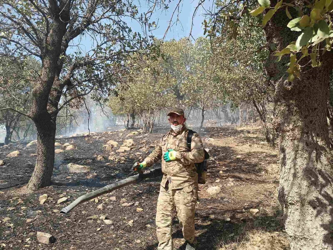 20 دۆنم دارستان و پوش و پاوان و رەز و باخى هاوڵاتیانى گوندى باراو سووتا