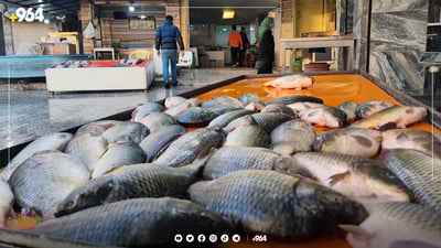 هەر کیلۆیەک گۆشتی ماسی دوو هەزار دیناری چووەتەسەر