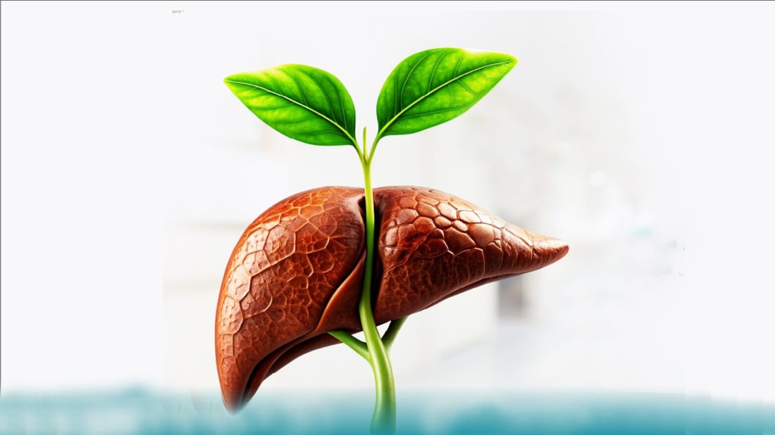 له‌ هەرێمی کوردستان 117 نەشتەرگەری بۆ چاندنى جگه‌ر ئه‌نجامدراوه‌