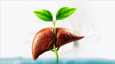 له‌ هەرێمی کوردستان 117 نەشتەرگەری بۆ چاندنى جگه‌ر ئه‌نجامدراوه‌