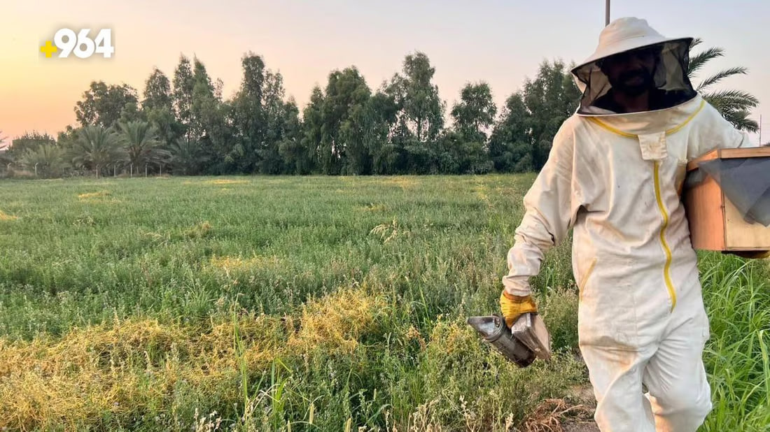 Pure honey production flourishes in Anbar