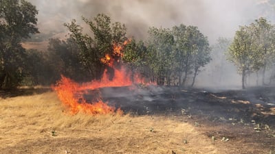 بەدەستى ئەنقەست ئاگرەکە کراوەتەوە و 500 دۆنمى سووتاند