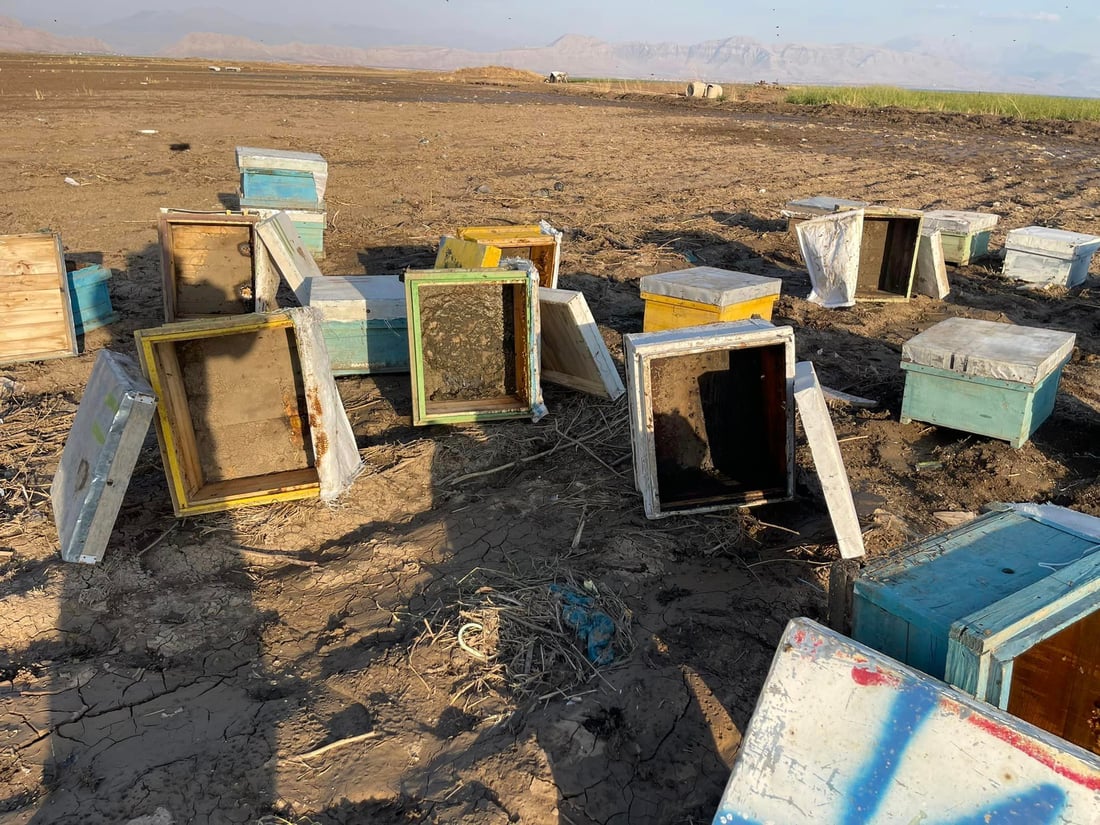 “یه‌كه‌م بارانى پاییز زیانى به‌ هه‌نگه‌كانم گه‌یاند”