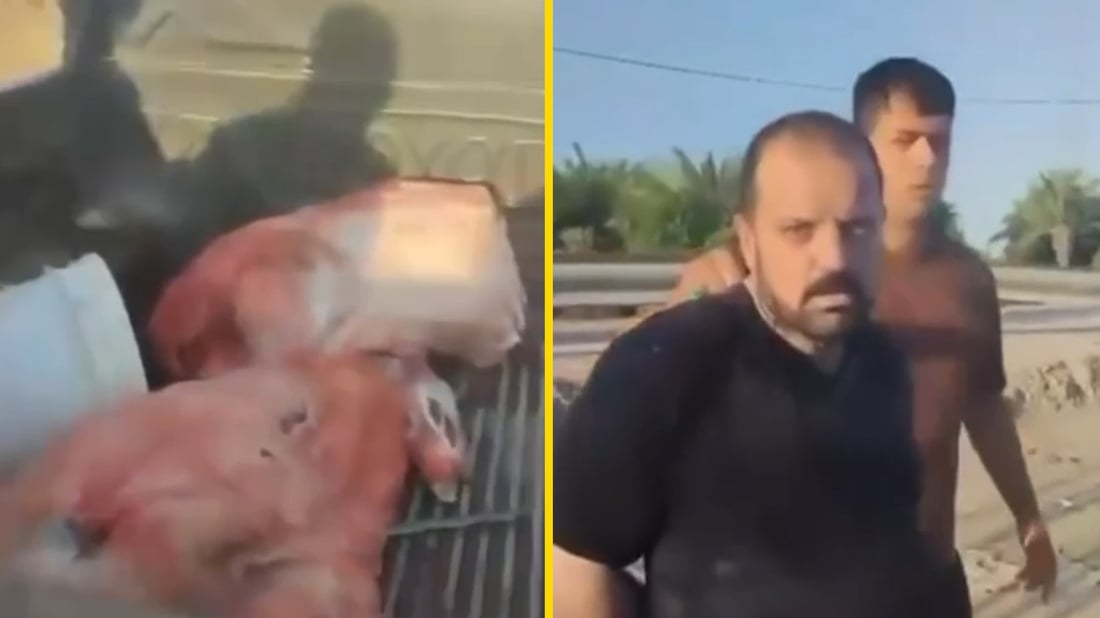 السجن 10 سنوات لبائع لحم الخنزير في النجف