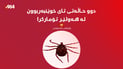 دوو حاڵەتی تووشبوون بە تای خوێنبەربوون لە هەولێر تۆمارکرا
