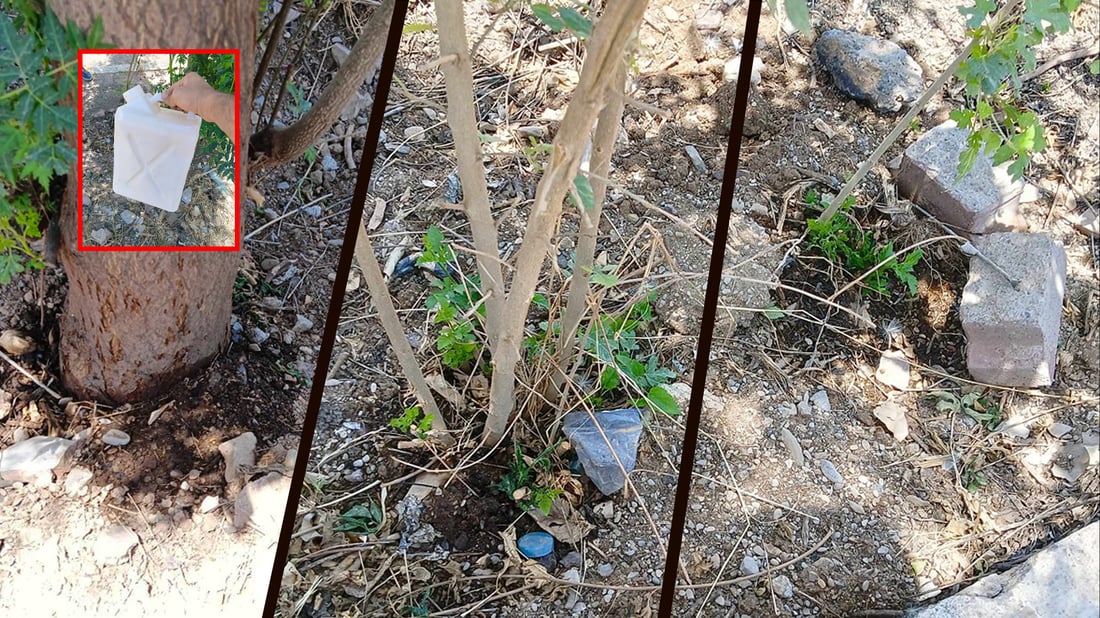 له‌ هه‌ڵه‌بجه  كه‌سانى نه‌ناسراو‌ نه‌وتیان رژاندووه‌ته‌ ژێر چه‌ند دره‌ختێك