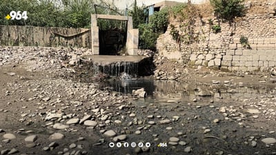 964 بووە هۆی رزگاربوونی هەزاران ماسی خابوور لە مرداربوونەوە