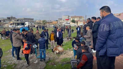 لە بازیان بازاڕێکی فرۆشتنی پەلەوەری کوردی کراوەتەوە