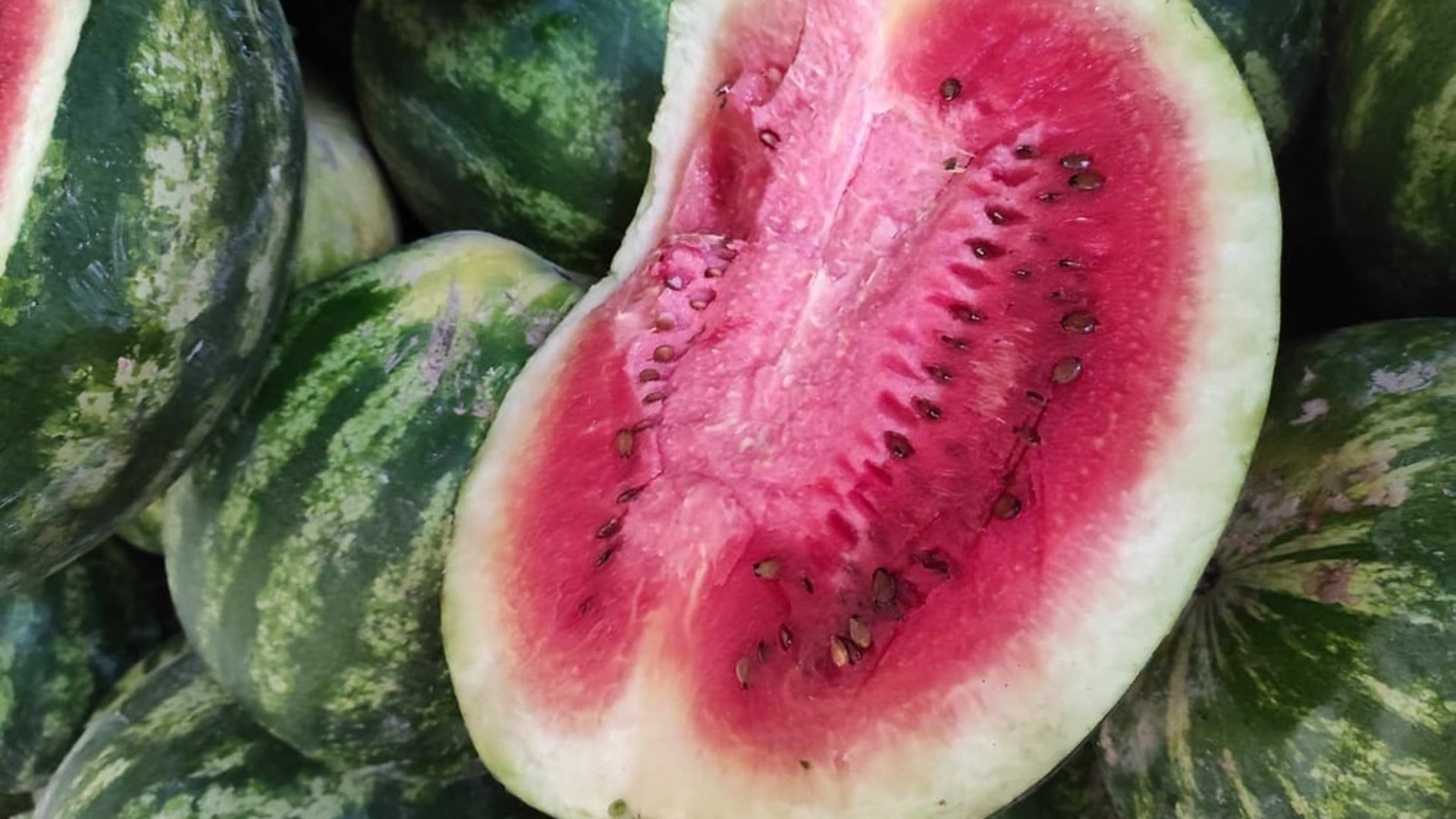 over-42-tons-of-spoiled-imported-watermelon-seized-in-kurdistan-964media