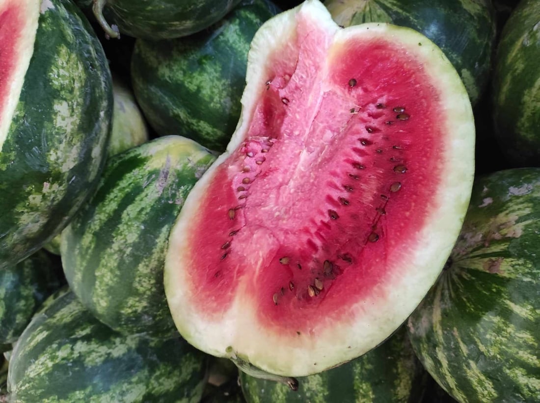 Over 42 tons of spoiled imported watermelon seized in Kurdistan