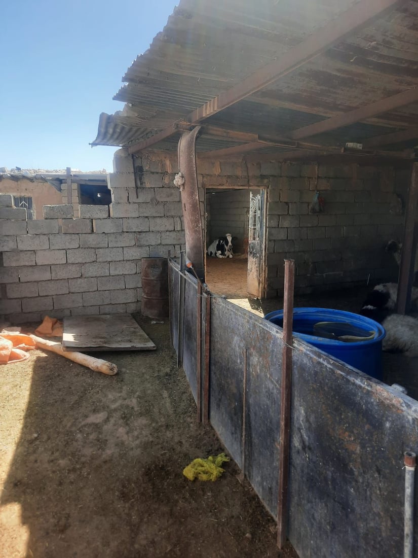 <?php echo get_the_title() ?>