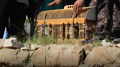 264 ئاژەڵ لە سلێمانی ئازاد کران