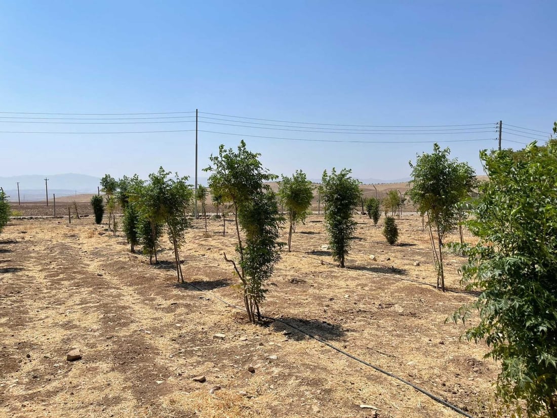 هەر جوتیارێک مۆڵەتەکەی نوێ نەکاتەوە باخەکەی لێوەردەگیرێتەوە