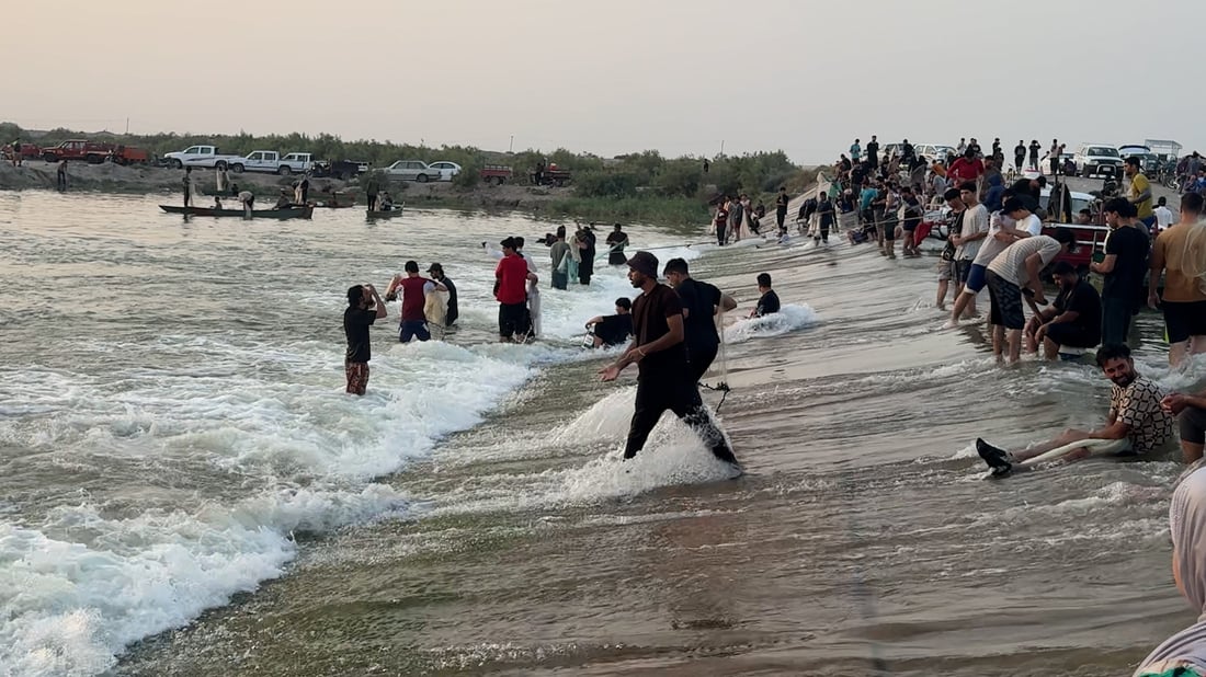 فيديو: موجة سمك كبيرة تدخل البصرة من الأهوار وتنهي 