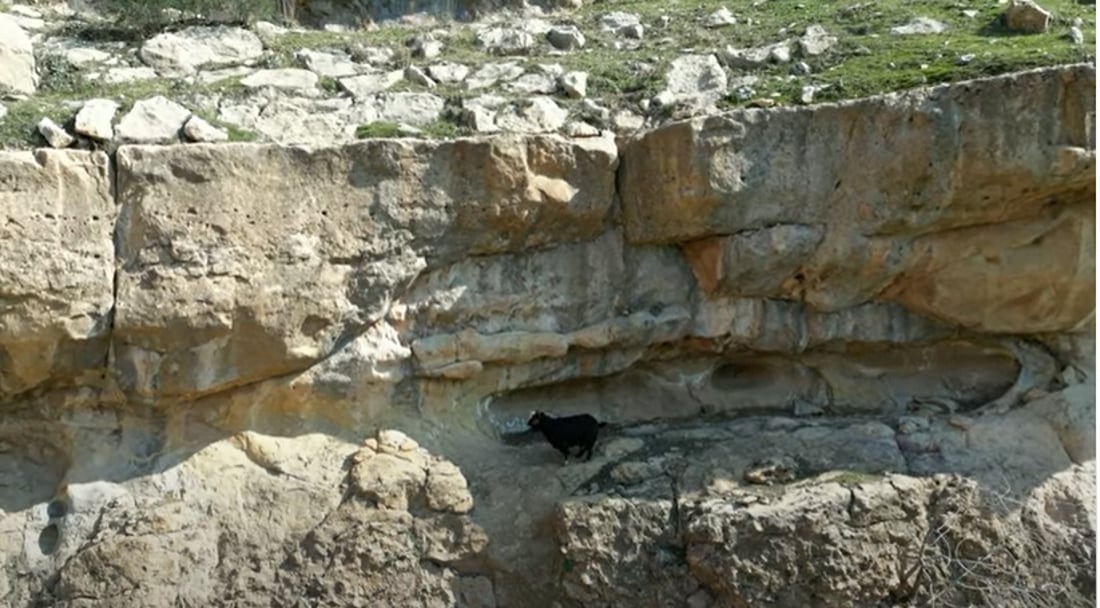 شاخەوانەکانی سلێمانی خەڵک و ئاژەڵی گیرخواردوو رزگار دەکەن