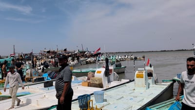 فيديو: صيد ضخم اليوم في الفاو وأسعار السمك تتراوح بين 3 و250 ألفاً