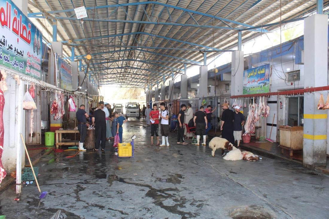 الجلود والعظام تجذبها.. كلاب سائبة تهاجم شابين في سوق القصابين بالقائم