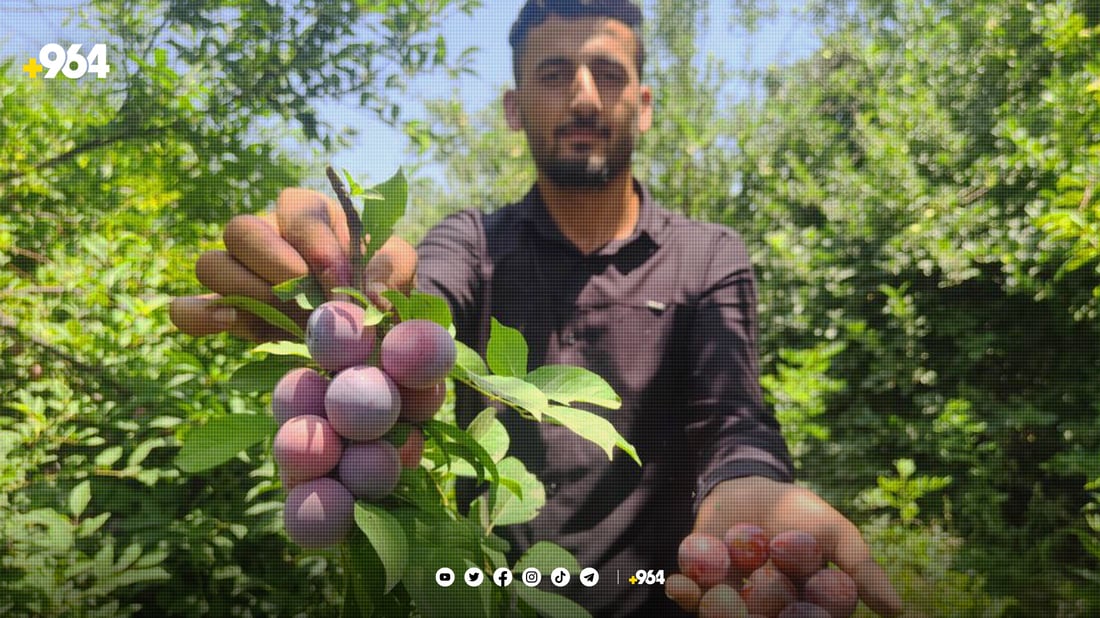 جوتیارێك لەكاتی نیشاندانی هەڵوژەدا، وێنە: جەمال سەرگەتی