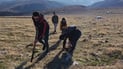 Environmental activists plant thousands of wild herbs and trees in Sulaymaniyah’s Haji Awa mountains