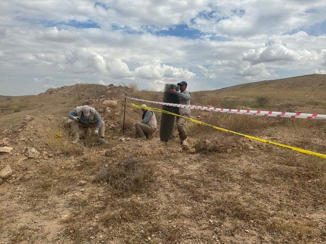 964mediaصورة من منصة (شبكة): 