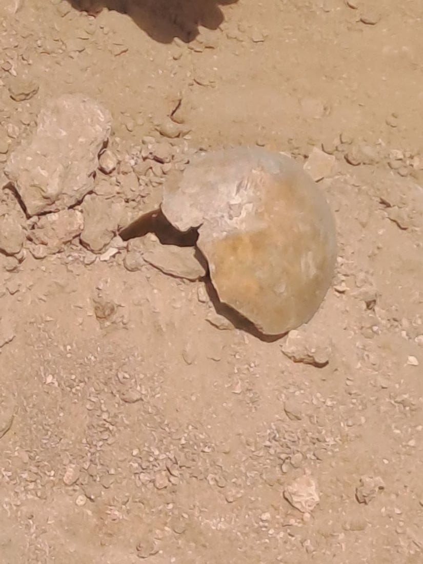 964mediaصورة من منصة (شبكة): 