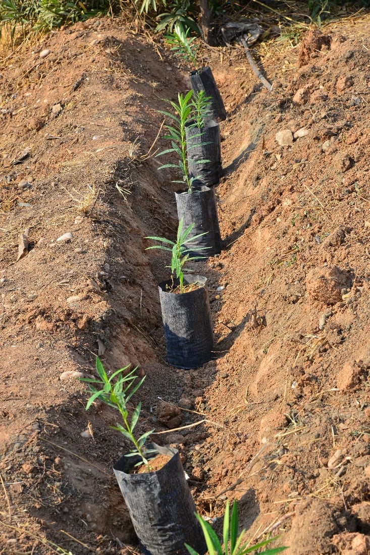 شەقامی 120 مەتری هەولێر جوان دەکرێت