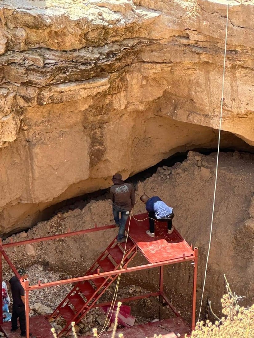 964mediaصورة من منصة (شبكة): 