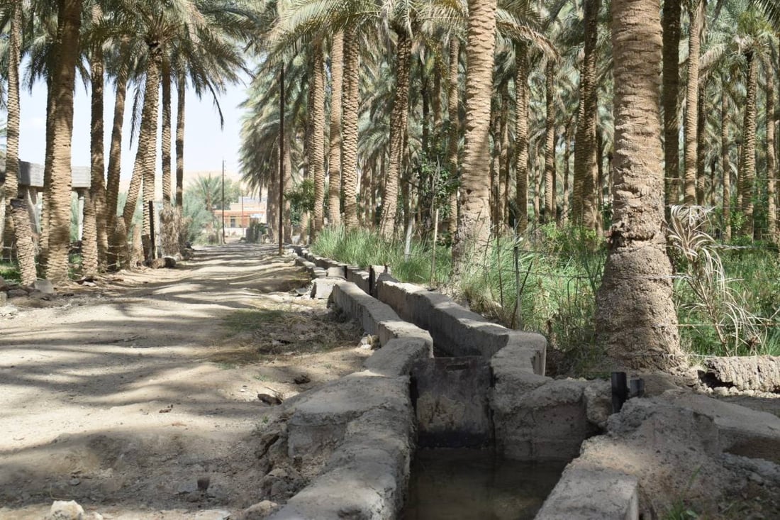 مشاهد ملهمة من ناحية البغدادي: الأهالي أحيوا ساقية قديمة لإرواء 150 بستاناً (صور)