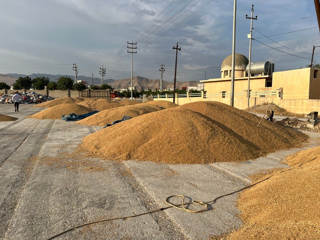 KRG sets local wheat prices to absorb unsold harvests after federal quota cut