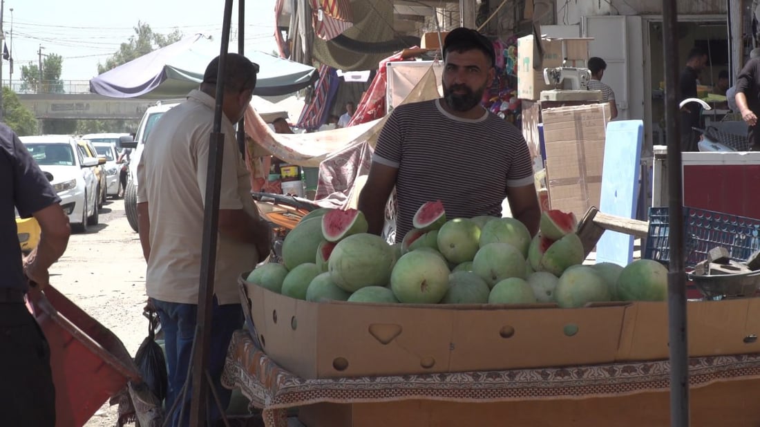 صور من الحلة: التين والعنب ينسيان الأهالي الرقي التالف.. القطاف سينتهي بعد شهر