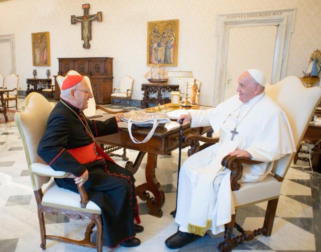 صور: بابا الفاتيكان يلتقي الكاردينال لويس ساكو في روما