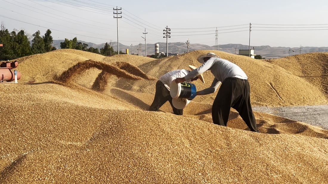 ئەنجامی سەردانەکەی جوتیارانی هەرێم بۆ بەغداد چی بوو؟