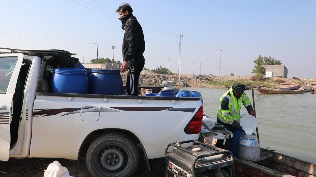 أهوار الجبايش: حليب الجاموس يقفز 60 %.. تراجع العلف والإنتاج (صور)