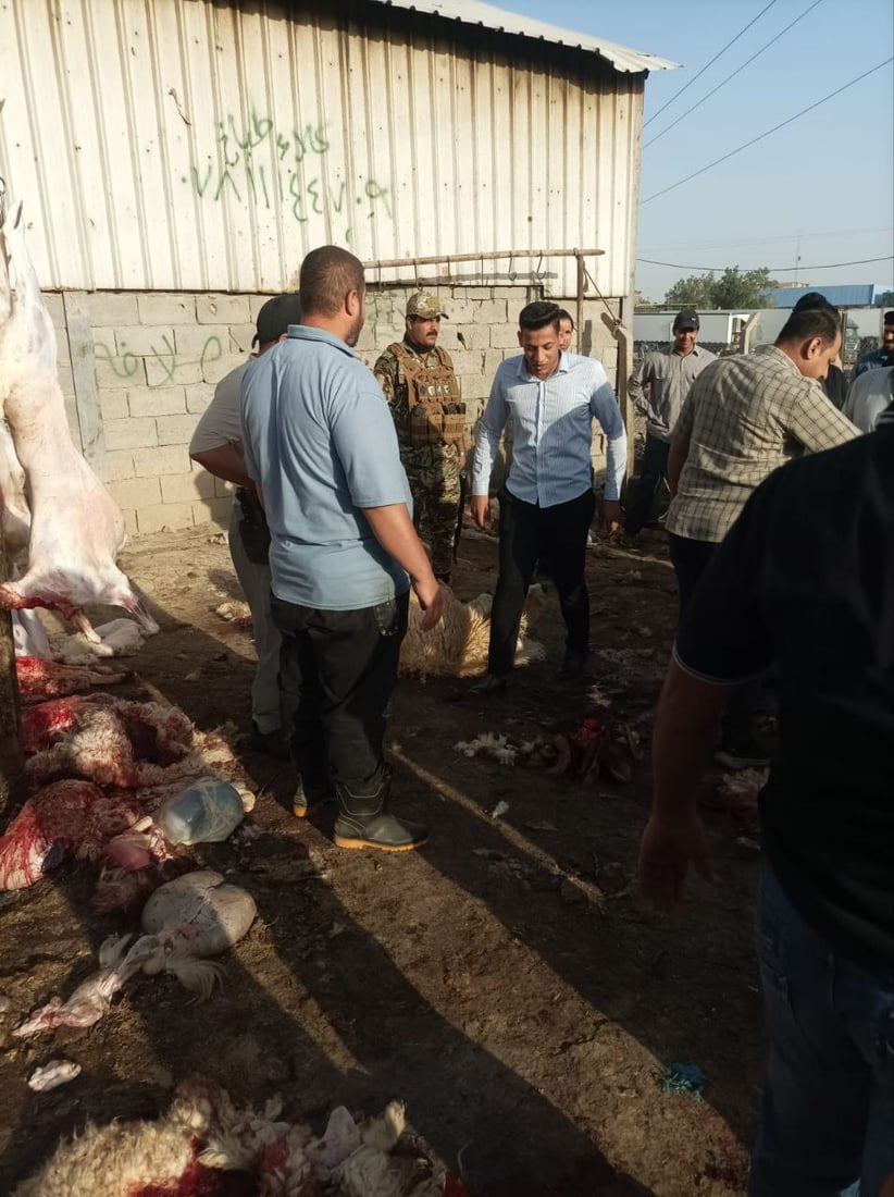 صور: اعتقال 3 جزارين ومصادرة ذبائح غير صالحة في سوق الشيوخ