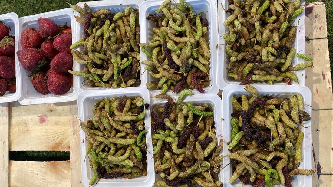 صور: “التكي” العراقي يصل إلى الناصرية.. الأسود والأحمر أرخص من التركي