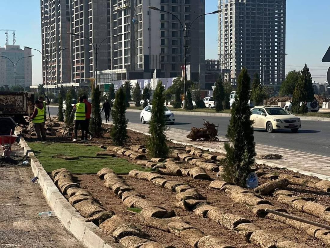 200 مەتر فریز لە بلواری نێوان شەقامەکان دەچێندرێت