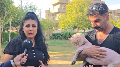 “لوکی” ئەو سەگەی دوای دوو ساڵ بە خاوەنەکەی شادبووەوە